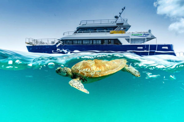 Cruising the Keppels | Great Keppel Island cruises - Freedom Fast Cats